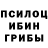 Псилоцибиновые грибы ЛСД Flocki play