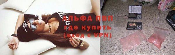 стафф Ладушкин