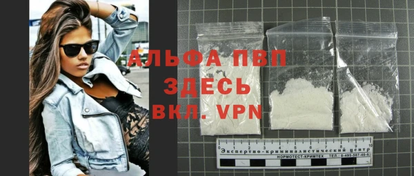 стафф Ладушкин