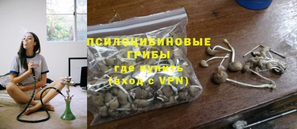 стафф Ладушкин