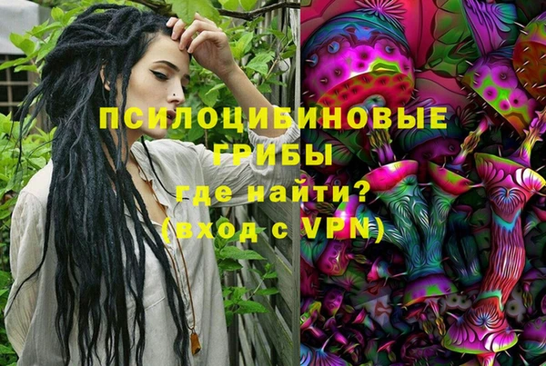 стафф Ладушкин
