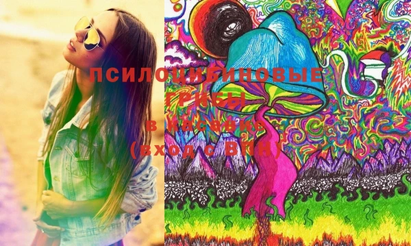 стафф Ладушкин