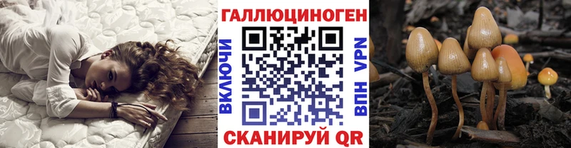 Галлюциногенные грибы мухоморы  Тбилисская 
